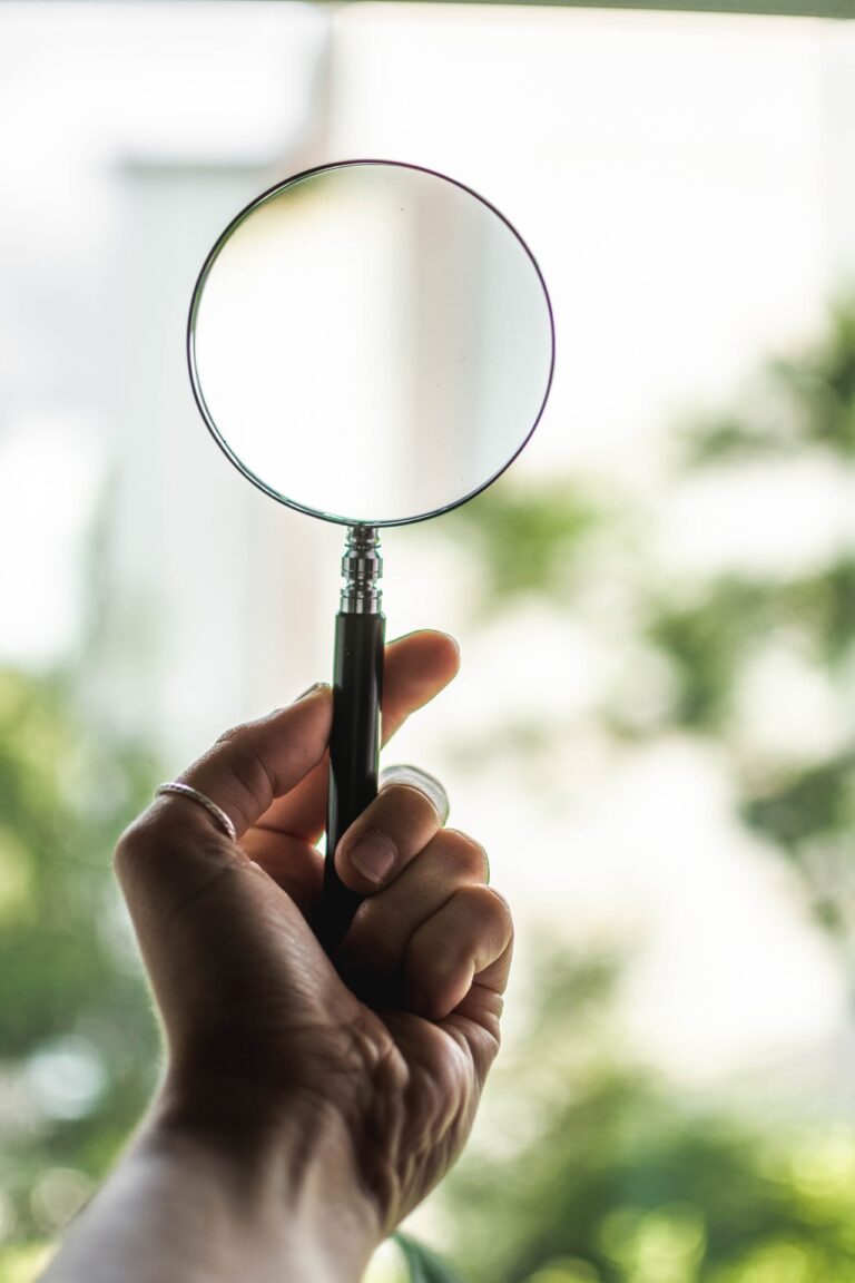 Be Magnified Online with Local SEO
